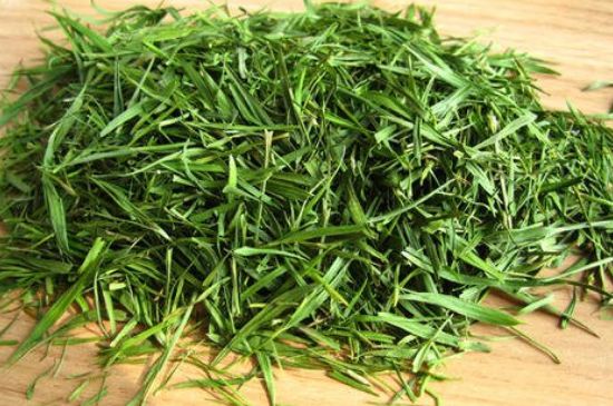 哪類人不適合喝石竹茶，石竹茶的功效與禁忌