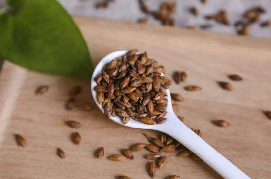 大麥茶上火嗎，喝大麥茶會(huì)不會(huì)上火？