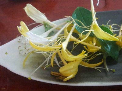 喝茶治口臭嗎，什么茶治口臭好？