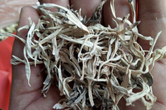 麗江雪茶的禁忌，白雪茶的副作用