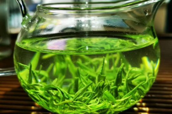 喝黃金茶禁忌，什么人不能喝黃金芽茶？