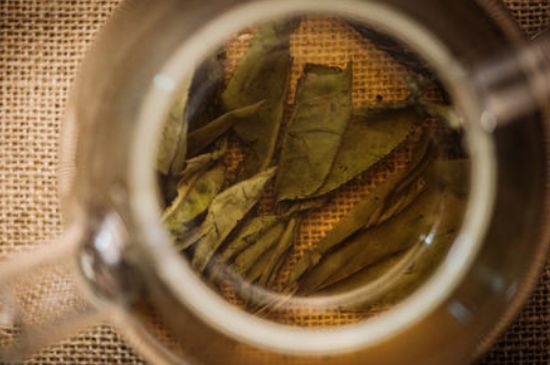 苦丁茶副作用，苦丁可以經(jīng)常喝嗎？