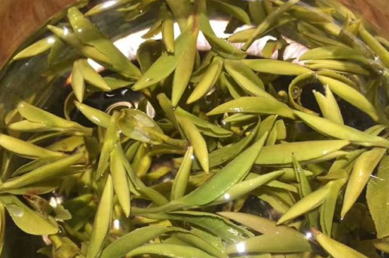 八大茶系都有哪幾種，八大茶系都是什么名字