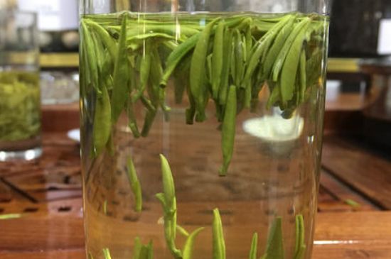 雀舌茶的副作用，雀舌茶什么人不能喝？