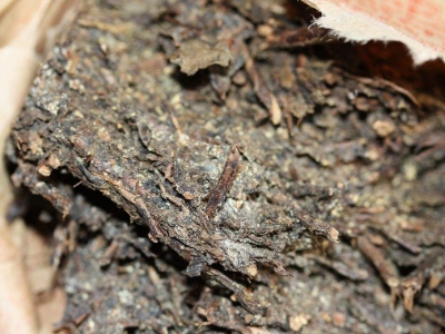 長期飲用黑茶的副作用，黑茶的功效與作用