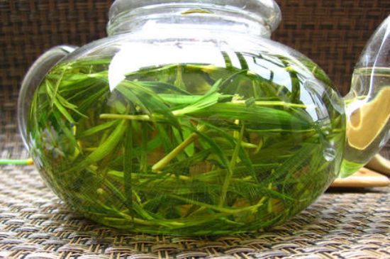 竹葉茶的禁忌，竹葉泡茶的功效禁忌