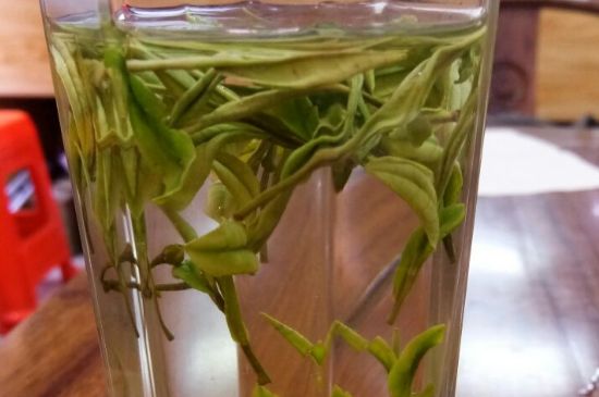 云霧綠茶的功效及禁忌，哪些人不適合喝云霧茶