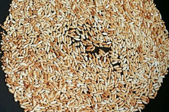 玄米茶是紅茶嗎，玄米茶怎么喝