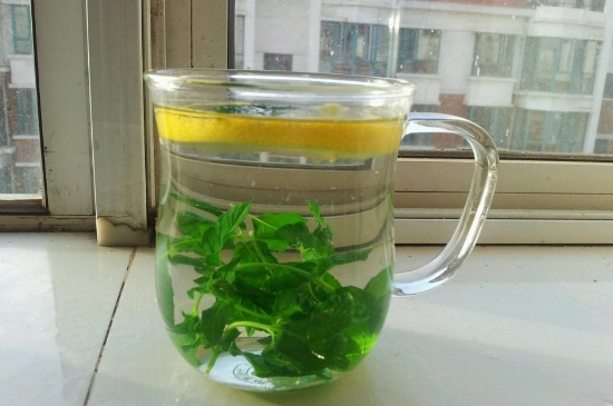 薄荷茶的功效與作用，喝薄荷茶有什么好處？