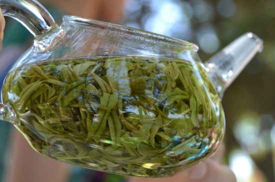 新手學(xué)泡茶的基本常識，從零開始學(xué)泡茶