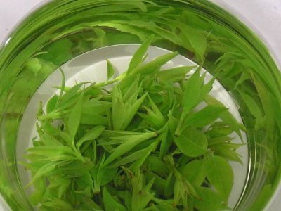 茶葉具有什么功效，茶葉的功效與作用大全