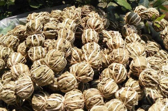 鷓鴣茶的禁忌，海南鷓鴣茶副作用