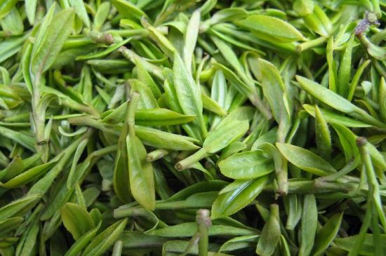 世界最貴的茶葉排行榜，十大最貴的茶