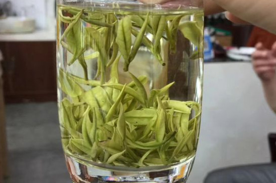 茶葉過期5年了但沒開封，茶葉放久了能喝嗎