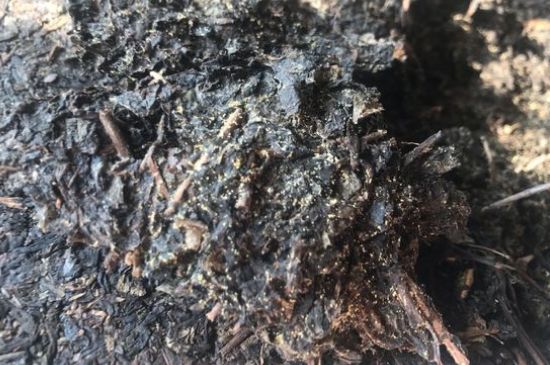 茯茶可以放在冰箱里存放嗎，茯磚茶如何儲(chǔ)存？