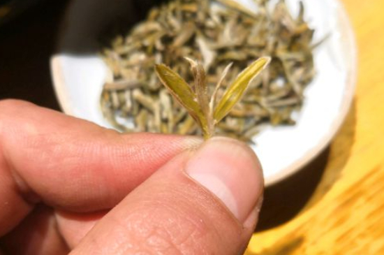 六大茶類哪種適合長(zhǎng)期存放，日常如何保存方法一覽？