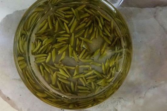 茶葉在哪里買比較好，哪里能買到好的茶葉