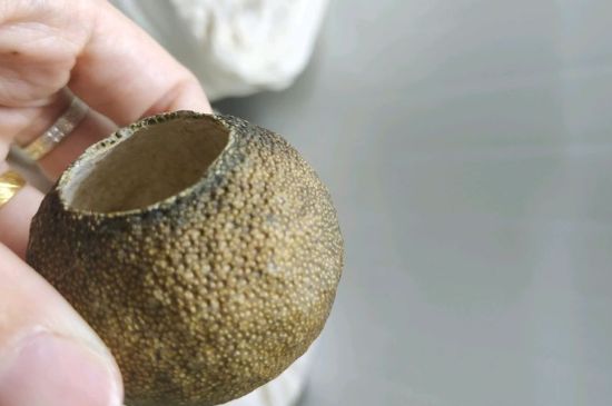 小青柑多少錢一盒，新會小青柑普茶價格一斤多少