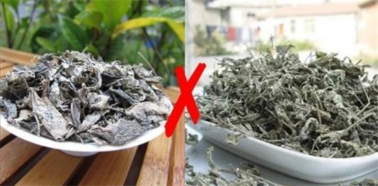 張家界茅巖莓茶與藤茶是同一種茶嗎，藤茶跟莓茶一不一樣？