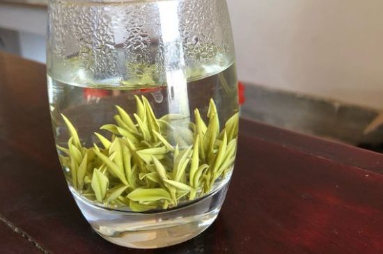 安吉白茶耐寒嗎，白茶適合放冰箱嗎