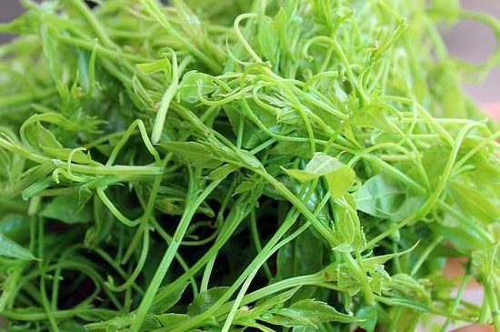 茅巖莓茶別名是什么，莓茶別名叫藤茶嗎？