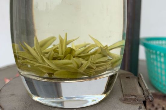 安吉白茶耐寒嗎，白茶適合放冰箱嗎