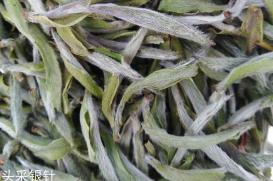 春茶季怎么辨別白毫銀針的好壞，好的白毫銀針如何選購？