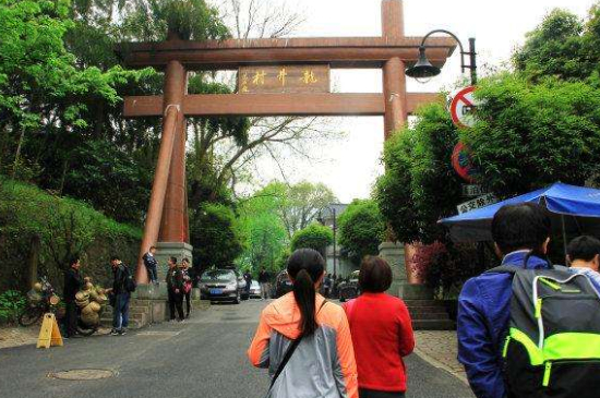 杭州買龍井茶攻略，怎么買到正宗的西湖龍井？