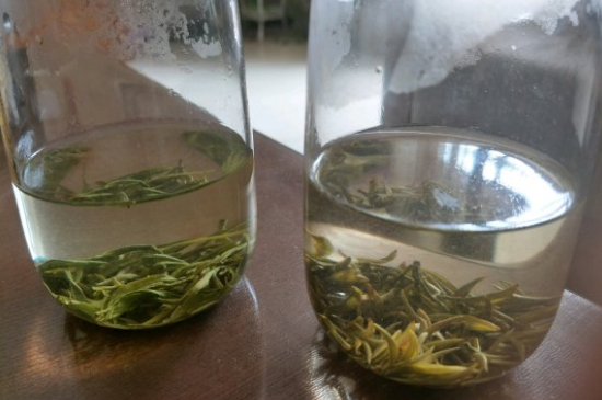 真假碧螺春泡水后區(qū)別，蘇州洞庭碧螺春怎樣鑒別好壞？