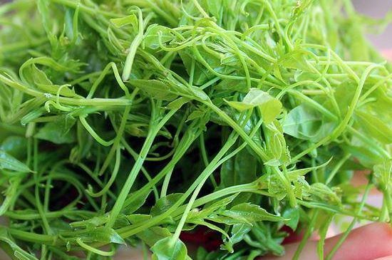 茅巖莓茶保質(zhì)期有多久，張家界莓茶存放時間長了還能喝嗎？