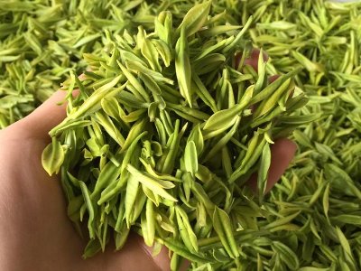 白茶品質(zhì)如何區(qū)分，白茶的優(yōu)劣質(zhì)量辨別方法