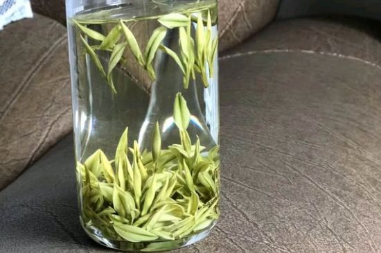 安吉白茶夏天怎么保存，安吉白茶能冷凍儲存嗎？