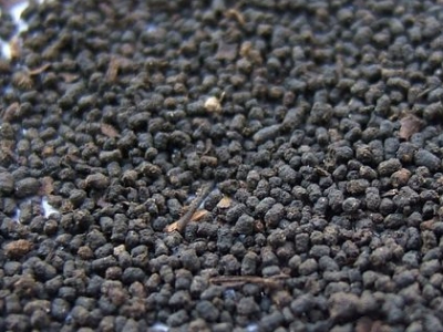 圓形顆粒狀茶是什么茶，像飼料一樣一粒粒的是什么茶？