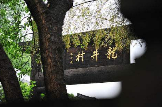 杭州買龍井茶攻略，怎么買到正宗的西湖龍井？