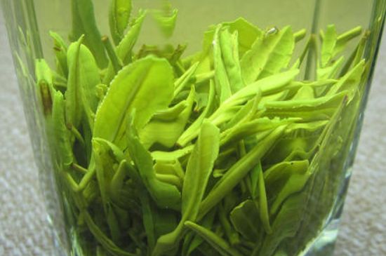 哪種茶葉可以放冰箱，哪些茶不能放冰箱？