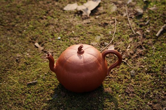 紫砂壺泡什么茶最佳，紫砂壺一般泡什么茶？