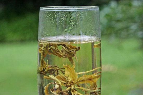 茉莉龍珠什么人不能喝，茉莉龍珠茶什么體質(zhì)不能喝？