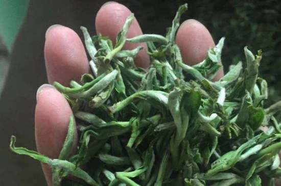 茉莉茶如何制作曬干，自制茉莉茶的做法