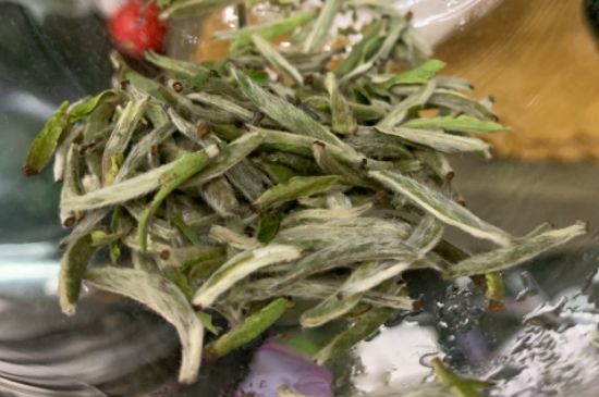 蒸汽煮茶器適合什么茶，蒸汽煮茶器適合用綠茶嗎？