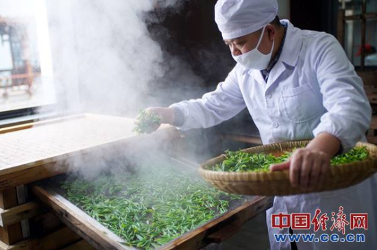 炒青綠茶與綠茶的區(qū)別，烘青和炒青哪個好喝？
