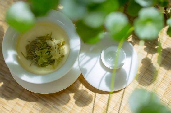 茉莉花茶6種人不要喝，什么體質(zhì)不適合喝茉莉花茶？