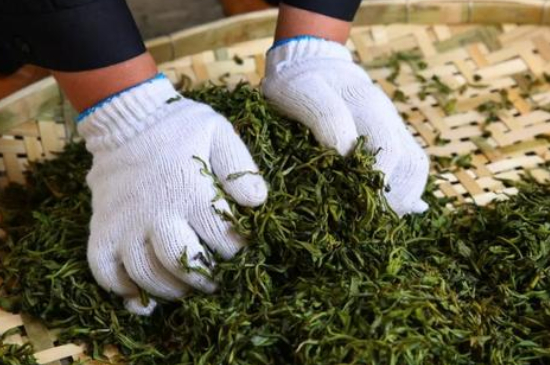 綠茶加工工藝流程圖，綠茶的加工制作包含哪幾個(gè)步驟？