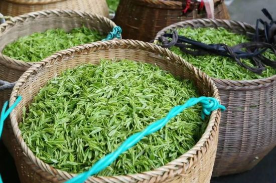 茶葉怎么炒制才香，怎樣炒茶葉更香？