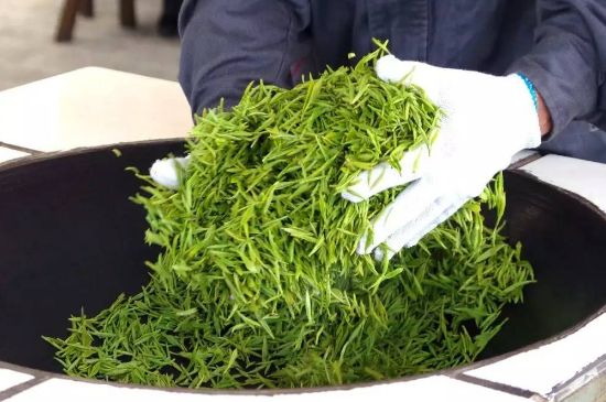 自家炒茶葉怎么炒，自己炒茶葉的步驟