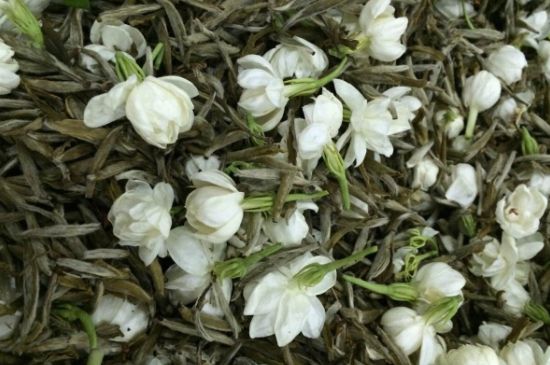 茉莉銀針口感，茉莉銀針是什么味道？