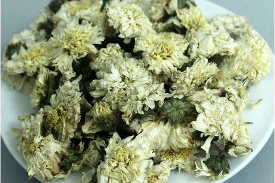 菊花茶買小朵還是大朵，泡茶用的小菊花和大菊花哪個好