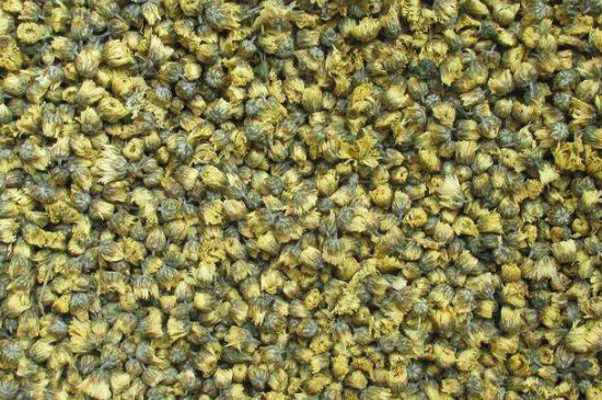 菊花茶大朵小朵有什么區(qū)別，菊花喝大朵還是小朵？