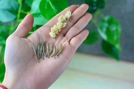 茉莉銀針口感，茉莉銀針是什么味道？