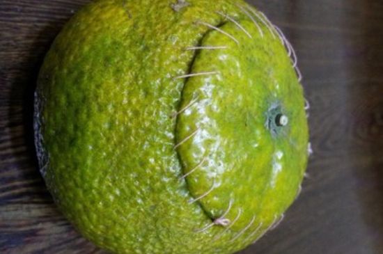 家庭自制柑普茶方法，小青柑制作9個(gè)步驟竅門（圖片）