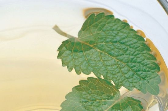 薄荷葉茶怎么制作，薄荷如何做成干茶葉